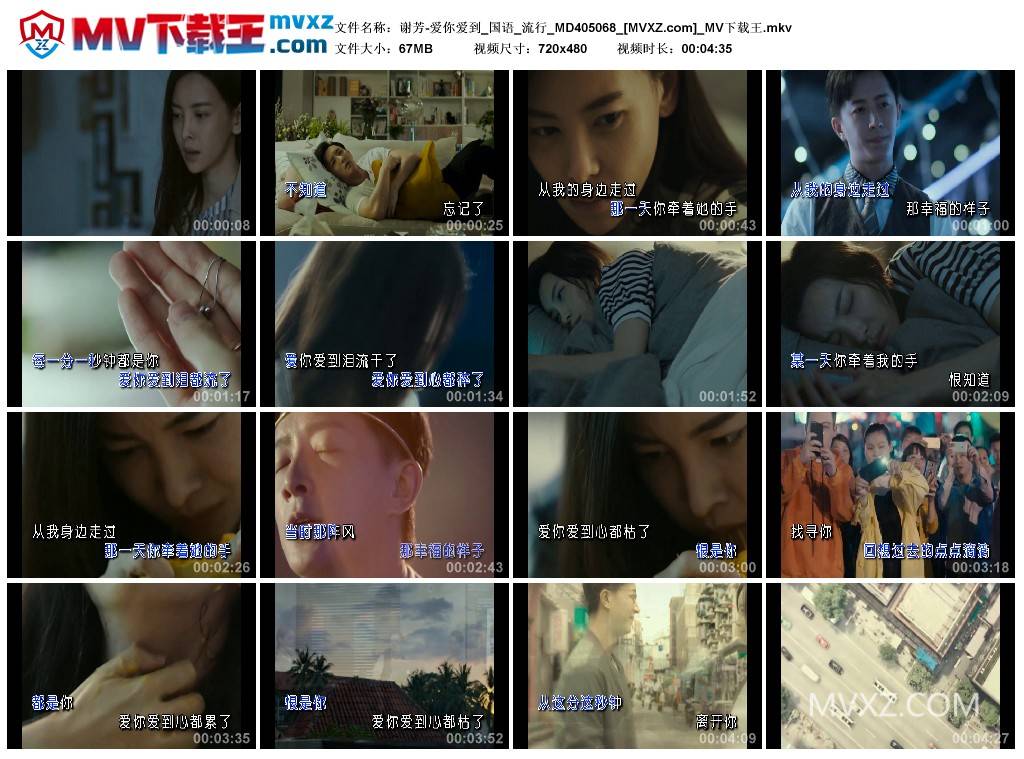 谢芳-爱你爱到_国语_流行_MD405068